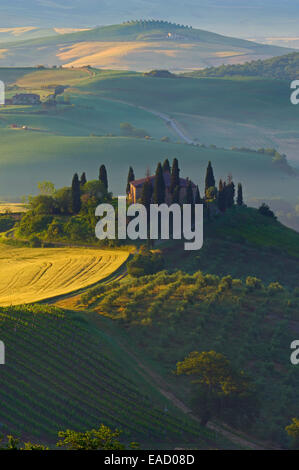 Das Belvedere im Morgenlicht, Val d ' Orcia, oder Orcia-Tals, UNESCO-Weltkulturerbe, San Quirico d ' Orcia, Val d ' Orcia Stockfoto