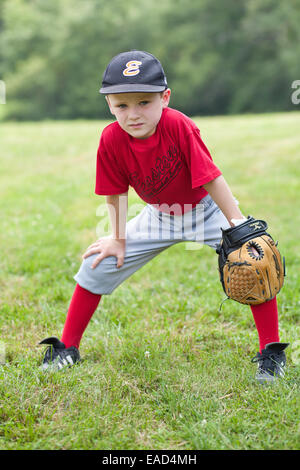 Kleiner Junge gekleidet Ina Baseball uniform mit eines Baseball-Handschuhs spielbereit Stockfoto