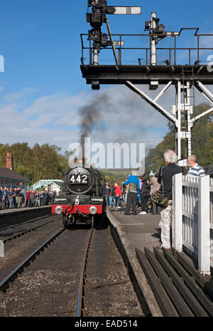 Dampflokomotive Lokomotive Lokomotive Lokomotive Nunney Castle am Autumn Steam Gala Grosmont Railway Station NYMR North Yorkshire England Vereinigtes Königreich Stockfoto