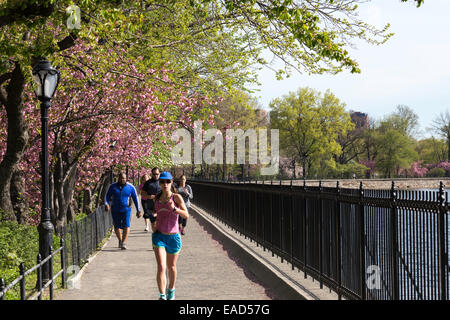 Das Reservoir, Jogging-Pfad, Central Park, New York, USA Stockfoto