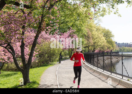 Das Reservoir, Jogging-Pfad, Central Park, New York, USA Stockfoto