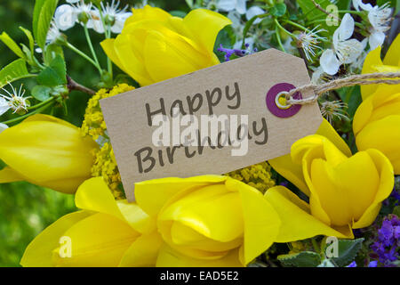 englische Geburtstagskarte mit gelben Tulpen Stockfoto, Bild: 75372440