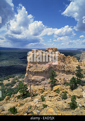 Sandstein-Formationen mit Blick auf eine massive Lava-Bett im El Malpais National Monument in New Mexico. Stockfoto