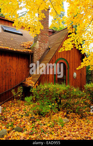 Herbst Ferienhaus mit Spitz-Ahorn-Baum in voller Blüte. (Acer Platanoides) Stockfoto