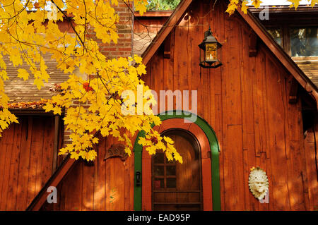 Herbst Ferienhaus mit Spitz-Ahorn-Baum in voller Blüte.  (Acer Platanoides) Stockfoto