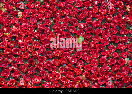 Close-up Tower of London Keramik Mohnblumen Installation London England Stockfoto