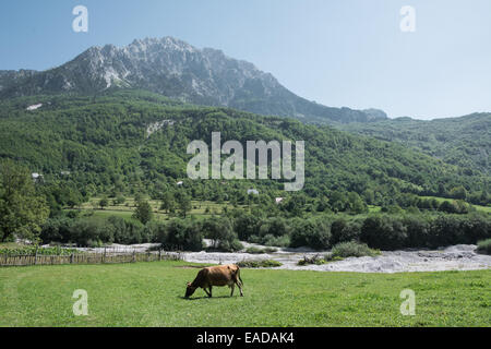 Theth Shkoder, Albanien Berg Stockfoto