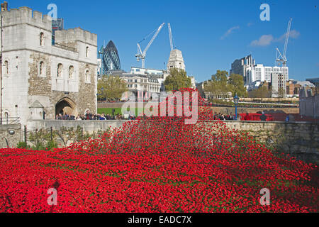 Tower von London Keramik Mohnblumen Installation London England Stockfoto