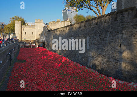 Tower von London mit Keramik Mohnblumen Installation London England Stockfoto