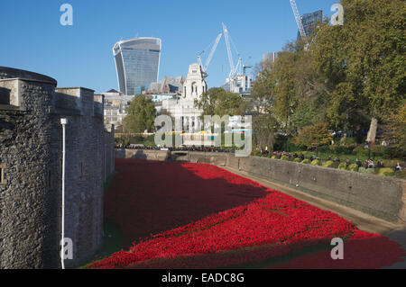 Tower von London Keramik Mohnblumen Installation London England Stockfoto