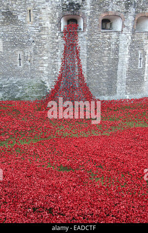 Tower von London mit Keramik Mohnblumen Installation London England Stockfoto