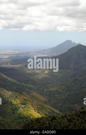 Blick über den Regenwald, Black River Gorges Nationalpark, Mauritius Stockfoto