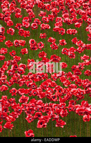 Blut Mehrfrequenzdarstellung Länder und Meere der roten Anzeige an der Tower of London Stockfoto