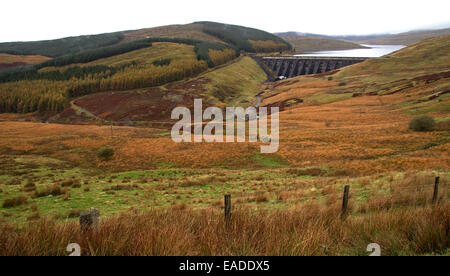 Herbstlandschaften in Ceredigion, Mid Wales. Nant y Moch Reservoir. Stockfoto