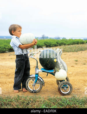 Junge mit blauen Kürbis und Dreirad Stockfoto