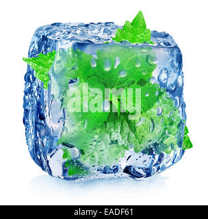 Minze in Eiswürfel isoliert auf weiss Stockfoto