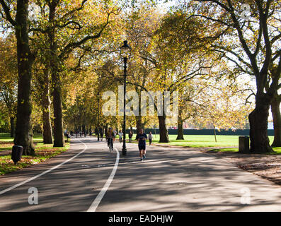 Herbst im Hyde Park in London Stockfoto