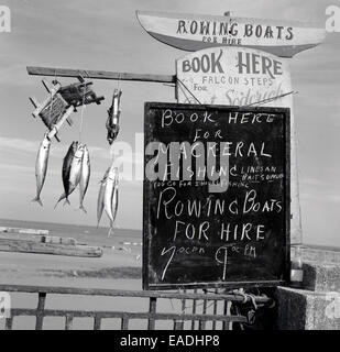 1950er-Jahren, historische Bild zeigt ein Zeichen für die Einstellung von Ruderbooten und Mackeral Angeln an der Küste, Douglas, Isle Of man. Stockfoto