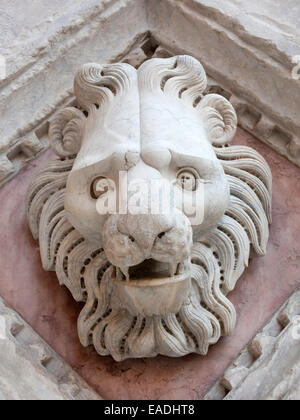 aus Marmor Detail geschnitzten Kopf des Löwen über Kirche in Siena Stockfoto