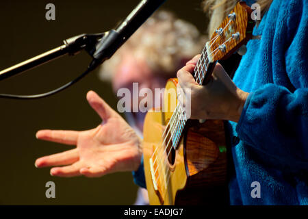 Ukulele und Hände Stockfoto