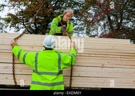 Erbauer und Holz Auslieferungsfahrer auf einer Baustelle, die einen hohe Sichtbarkeit Jacke und weiße Arbeitshelm Schutzhelm tragen Stockfoto