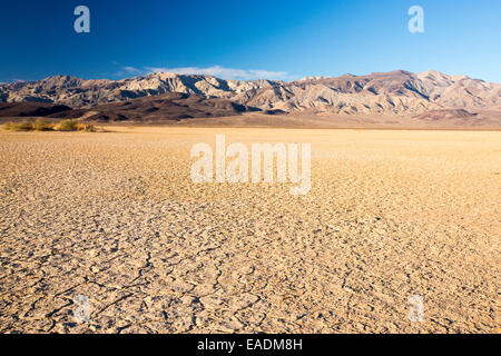 Death Valley ist der niedrigsten, heißesten und trockensten Ort in den USA, mit einer durchschnittlichen jährlichen Niederschlagsmenge von etwa 2 Zoll, einigen Jahren es Stockfoto