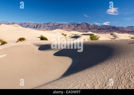 Die Mesquite flache Sanddünen im Death Valley, die den niedrigsten, heißesten und trockensten Ort in den USA, mit einer durchschnittlichen jährlichen rainf Stockfoto