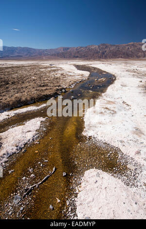 Salzige Bäche im Death Valley, die den niedrigsten, heißesten und trockensten Ort in den USA, mit einer durchschnittlichen jährlichen Niederschlagsmenge von etwa 2 Zoll einige Jahre ist, die es nicht überhaupt keinen Regen erhält. Stockfoto