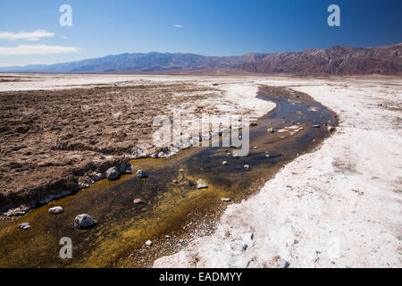 Salzige Bäche im Death Valley, die den niedrigsten, heißesten und trockensten Ort in den USA, mit einer durchschnittlichen jährlichen Niederschlagsmenge von rund 2 Stockfoto