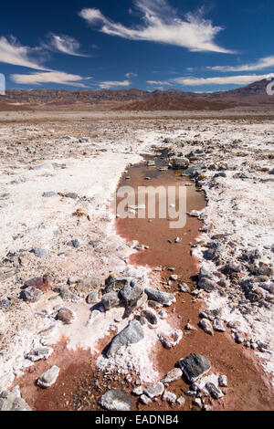 Salzige Bäche im Death Valley, die den niedrigsten, heißesten und trockensten Ort in den USA, mit einer durchschnittlichen jährlichen Niederschlagsmenge von etwa 2 Zoll einige Jahre ist, die es nicht überhaupt keinen Regen erhält. Stockfoto