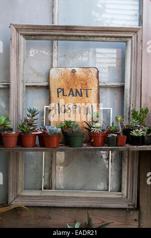Die Pflanze-Krankenhaus in Bernal Heights in San Francisco Stockfotografie  - Alamy