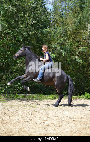 Mädchen sitzt auf einem aufbäumenden Pferd ohne Sattel Stockfoto