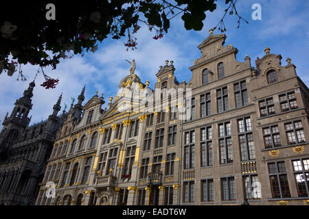 Die Grand Place in Brüssel, Belgien Stockfoto