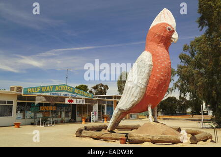 Die großen Rosakakadu in Kimba, Südaustralien. Dieser Stadt und Roadhouse ist ikonisch, da es auf halbem Weg quer durch Australien ist. Stockfoto