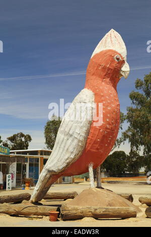 Die großen Rosakakadu in Kimba, Südaustralien. Dieser Stadt und Roadhouse ist ikonisch, da es auf halbem Weg quer durch Australien ist. Stockfoto