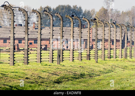 AUSCHWITZ, Polen - 25. Oktober 2014: Stacheldraht im Konzentrationslager Auschwitz war das größte der deutschen Nazi-konzen Stockfoto