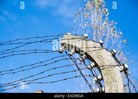 AUSCHWITZ, Polen - 25. Oktober 2014: Stacheldraht im Konzentrationslager Auschwitz war das größte der deutschen Nazi-konzen Stockfoto