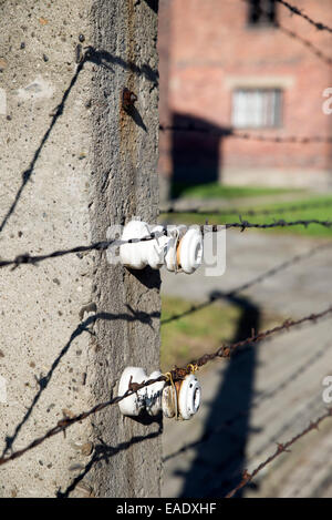 AUSCHWITZ, Polen - 25. Oktober 2014: Stacheldraht im Konzentrationslager Auschwitz war das größte der deutschen Nazi-konzen Stockfoto
