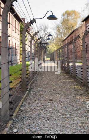AUSCHWITZ, Polen - 25. Oktober 2014: Stacheldraht im Konzentrationslager Auschwitz war das größte der deutschen Nazi-konzen Stockfoto