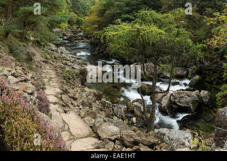 Die einen Pflasterweg Linien des Flusses Glaslyn fließt zwischen den Bäumen und Felsen des Aberglaslyn Passes in Snowdonia, Gwynedd Stockfoto