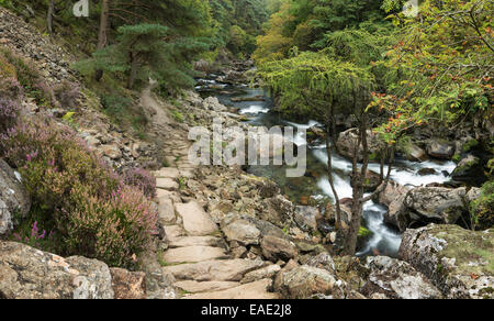 Die einen Pflasterweg Linien des Flusses Glaslyn fließt zwischen den Bäumen und Felsen des Aberglaslyn Passes in Snowdonia, Gwynedd Stockfoto