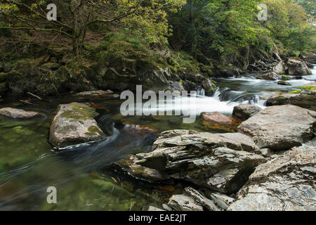 Der Fluß Glaslyn fließt zwischen den Bäumen und Felsen des Aberglaslyn Passes in Snowdonia, Gwynedd, Nordwales Stockfoto