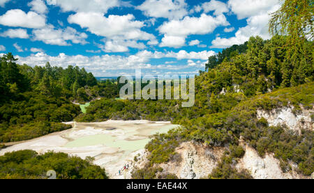 Flache Pfanne Pool im Wai-O-Tapu geothermal Gegend in Neuseeland Stockfoto