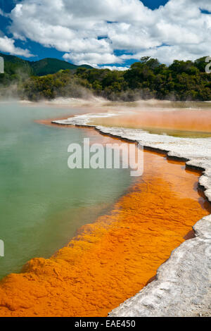 Champagne Pool, Wai-O-Tapu geothermal Bereich in Neuseeland Stockfoto