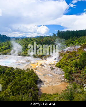 Orakei Korako Höhle und Thermal Park geothermische Gebiet in Neuseeland Stockfoto