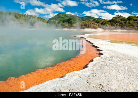 Champagne Pool, Wai-O-Tapu geothermal Bereich in Neuseeland Stockfoto