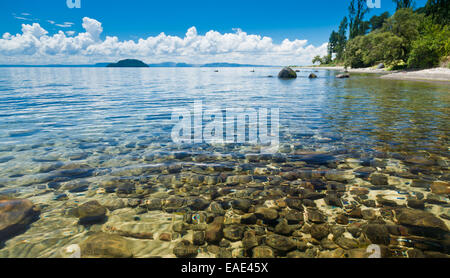 Kristallklare Wasser des Lake Taupo in der Nordinsel von Neuseeland Stockfoto