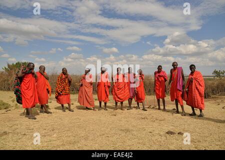 Maasai bei einer Tanzperformance, Massai Mara, Enkutoto, Serengeti, Provinz Rift Valley, Kenia Stockfoto