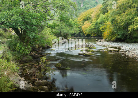 Der Fluß Glaslyn fließt zwischen den Bäumen und Felsen des Aberglaslyn Passes in Snowdonia, Gwynedd, Nordwales Stockfoto