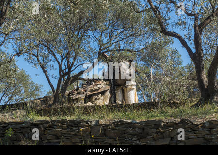 Olivengarten, Salvador Dali, Port Lligat, Cap de Creus, Costa Brava, Girona, Spanien, Katalanien, Portlligat Stockfoto